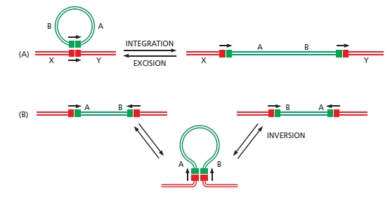 Figure 5-64.png